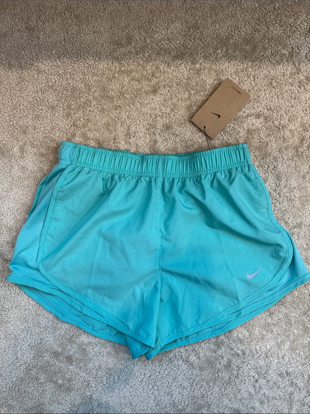 Nike Women's Teal Athletic Shorts with Light Pink Swoosh